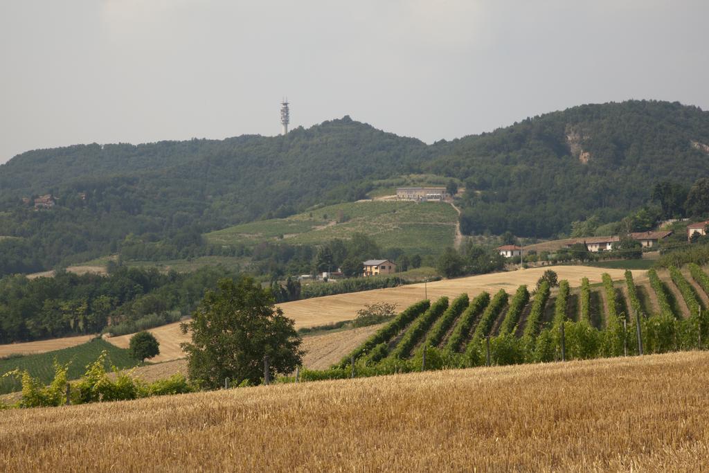 Crealto Βίλα Alfiano Natta Εξωτερικό φωτογραφία